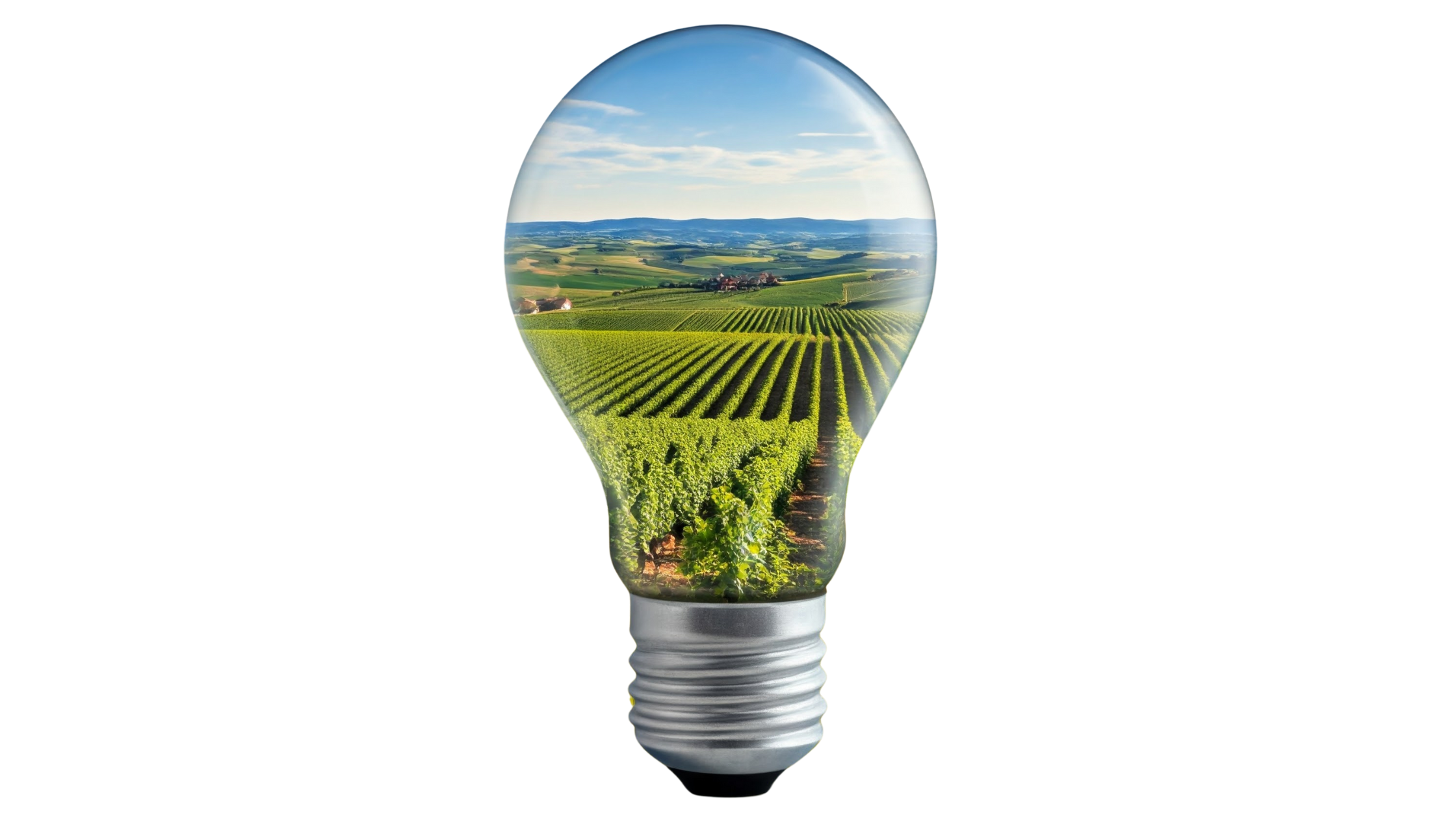 Progetto senza titolo-Dec-20-2024-11-51-48-6479-AM