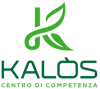 logo Kalos 2023