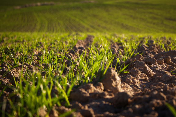 estensive mini estensive mini